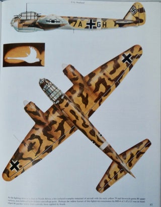 Luftwaffe Colors, Volume 3: 1943-45