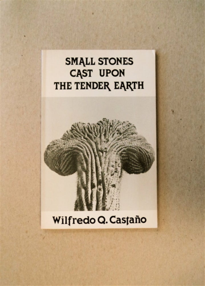 [82727] Small Stones Cast upon the Tender Earth. Wilfredo Q. CASTAÑO.