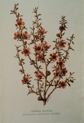 The Cultivation of New Zealand Plants