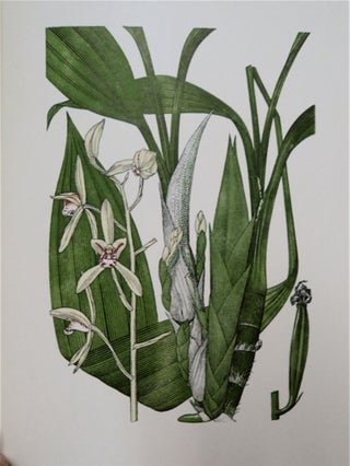 Selected Orchidaceous Plants, Parts 1 through 4
