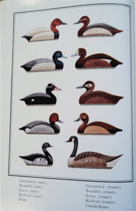 Duck Boats: Blinds: Decoys and Eastern Seaboard Wildfowling