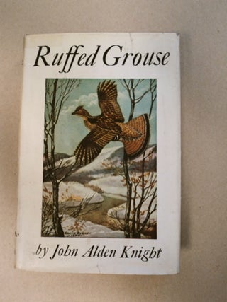 87363] Ruffed Grouse. John Alden KNIGHT