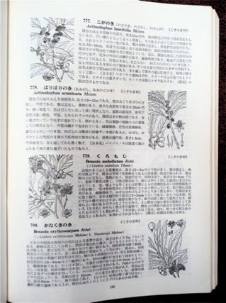 Makino's New Illustrated Flora of Japan