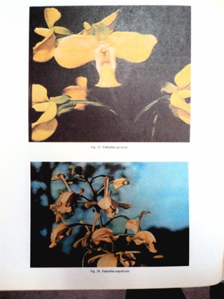 ANALES 7A. CONFERENCIA MUNDIAL DE ORQUIDEOLOGÍA / 7TH WORLD ORCHID CONFERENCE PROCEEDINGS