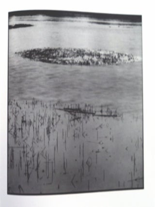 The Stinson Beach Salt Marsh: The Form of Its Growth