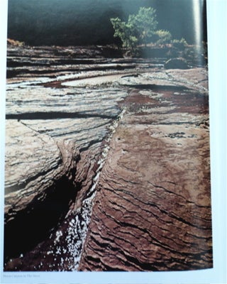 Slickrock: Endangered Canyons of the Southwest