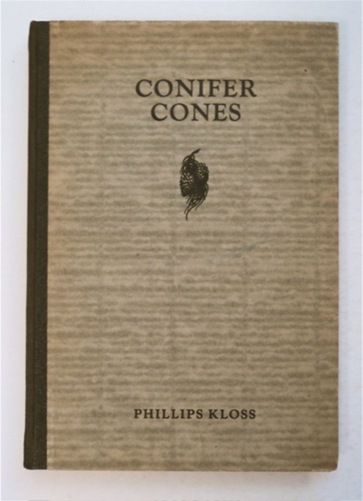 [95993] Conifer Cones. Phillips KLOSS.