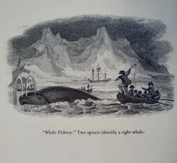 Whaling Industry of New London